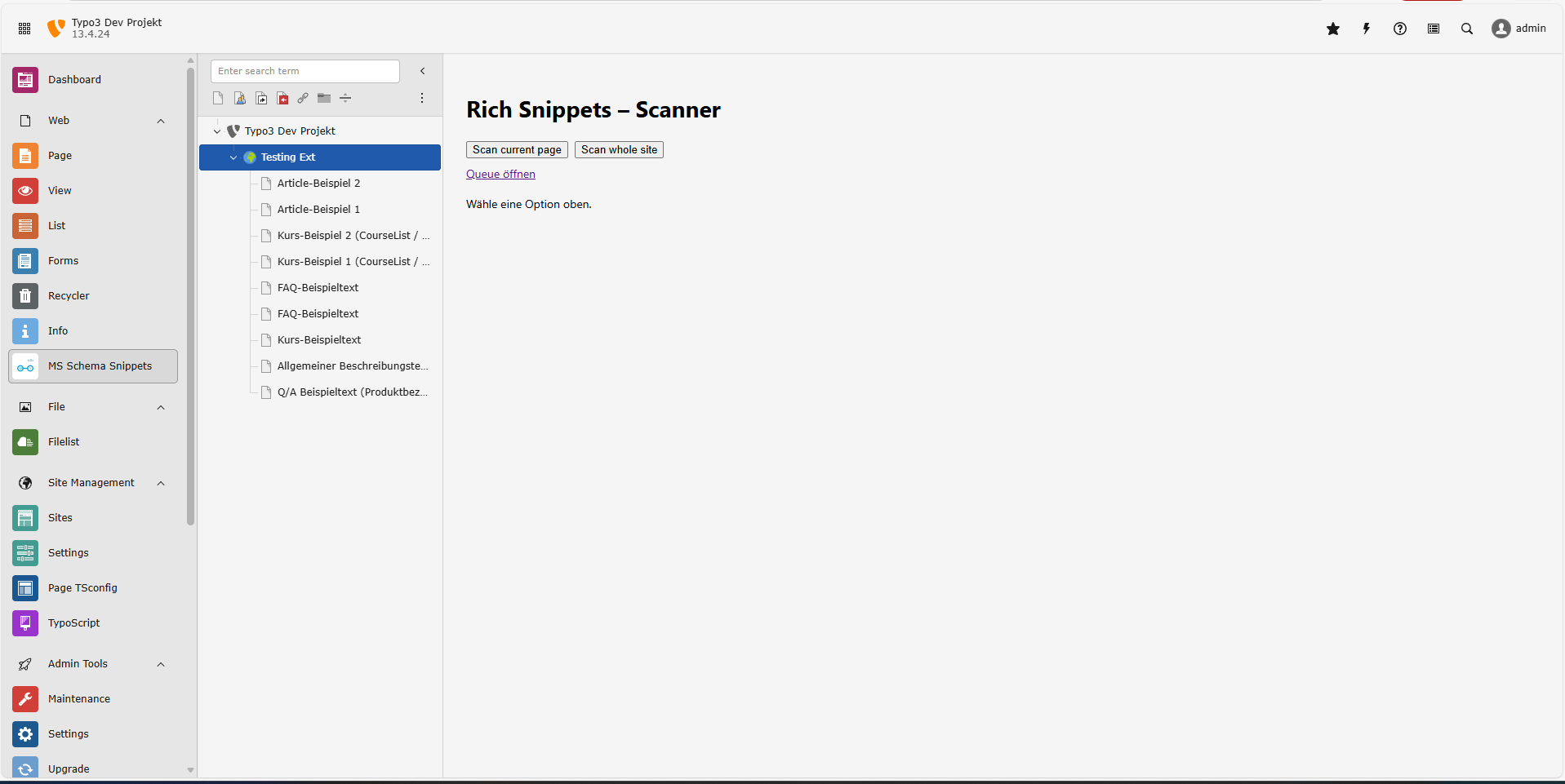 TYPO3 Rich-Snippet-Extension – Screenshot 1
